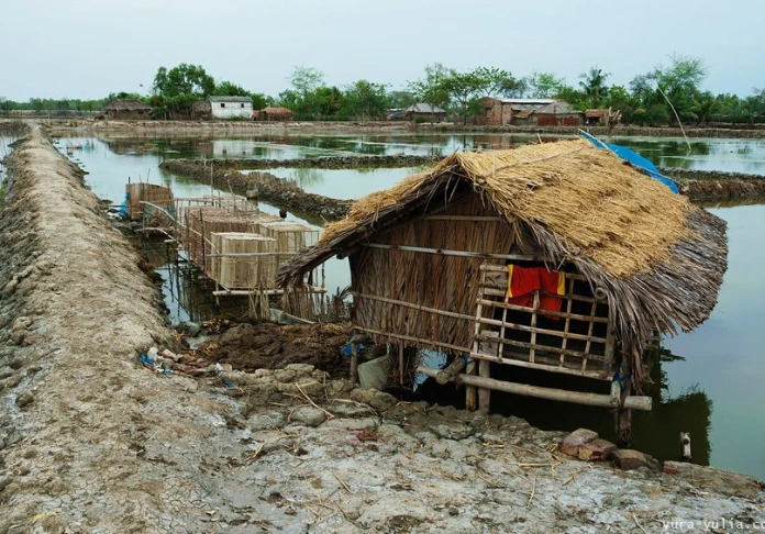 Journey to Bangladesh. Shrimp happiness Munrigori