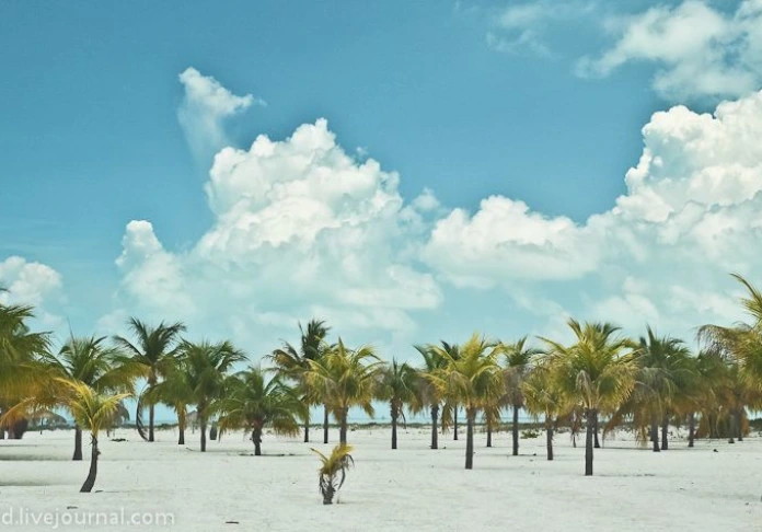 Island of Cayo Largo. The Caribbean