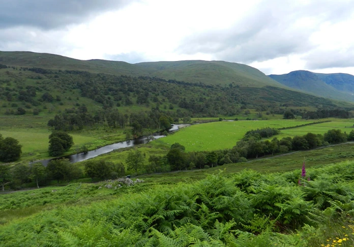Scottish backwoods - Valley Fairy Glen Lyon