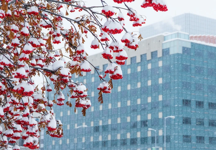 Winter in Anchorage
