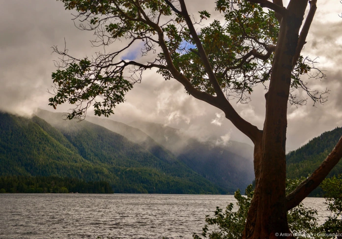 Olympic National Park