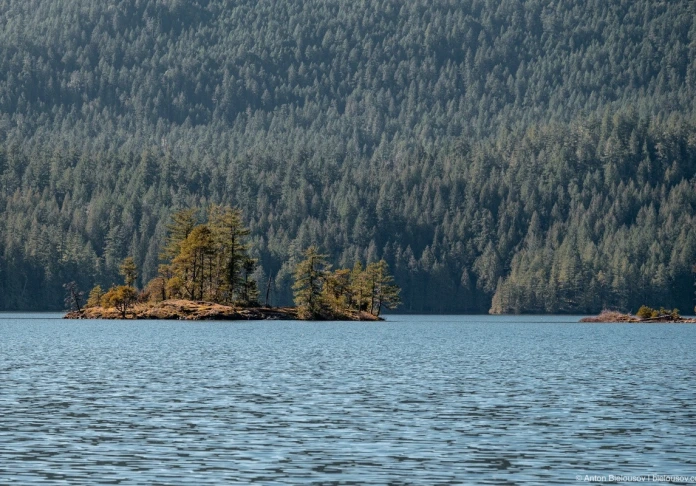 Powell River Hulks