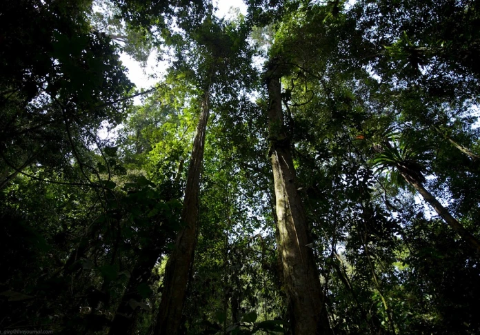 Taman Negara National Park