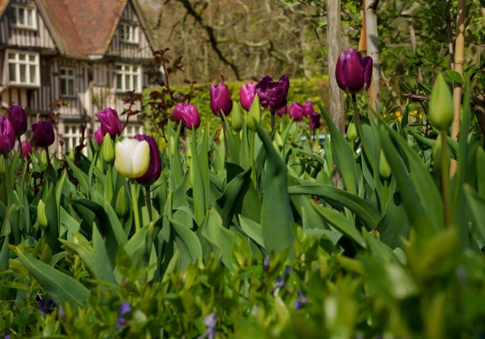 Trip to Pashley Manor, East Sussex