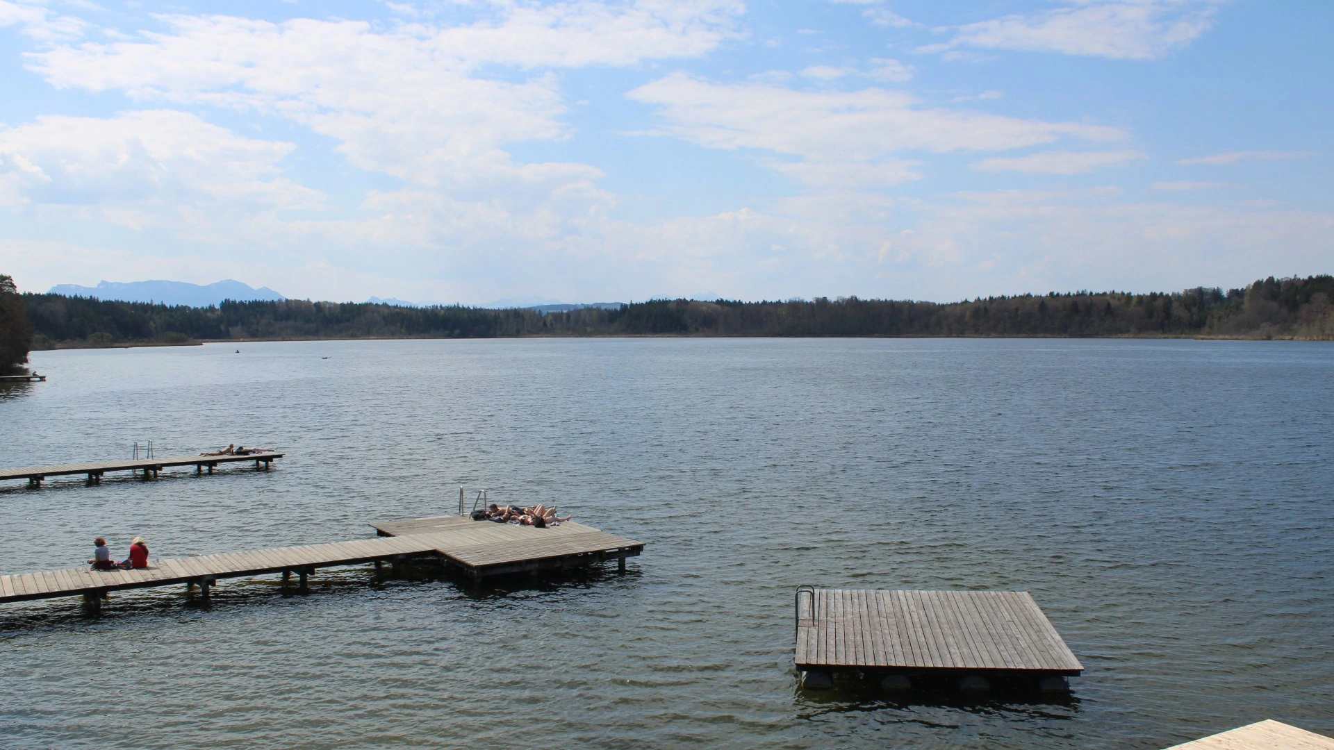 Hartsee