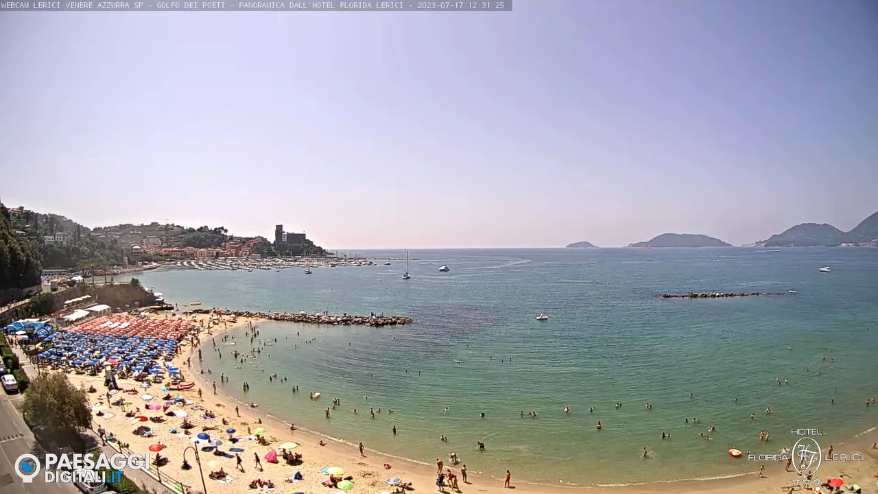 Lerici, Speza