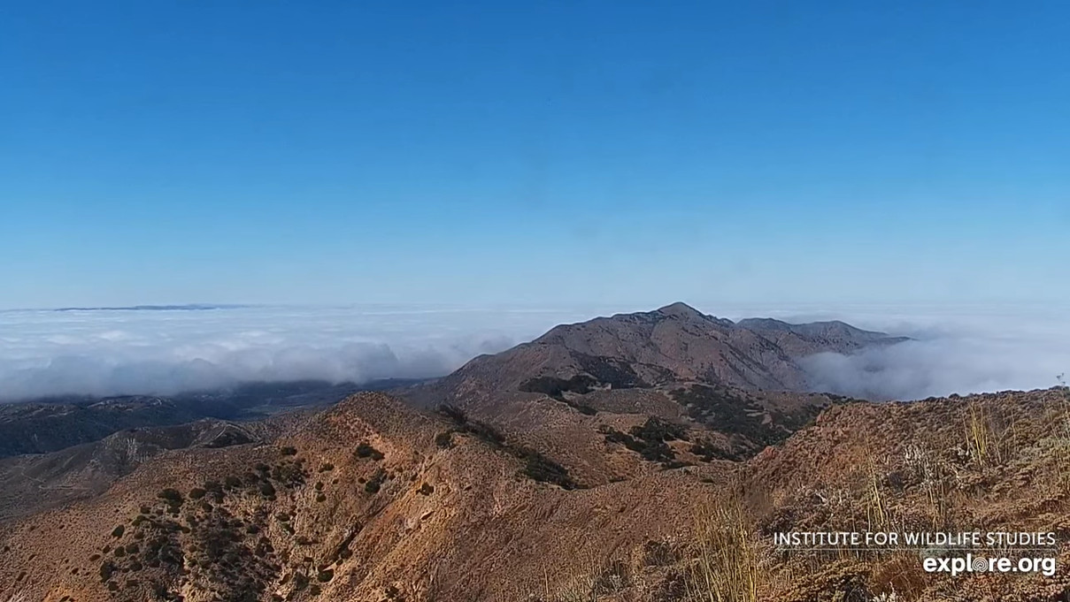 Devils Peak, California