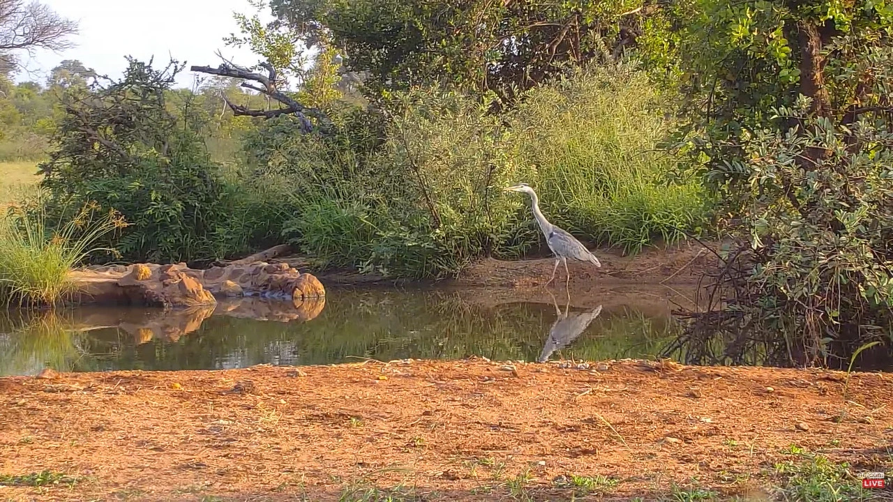 Phalaborwa
