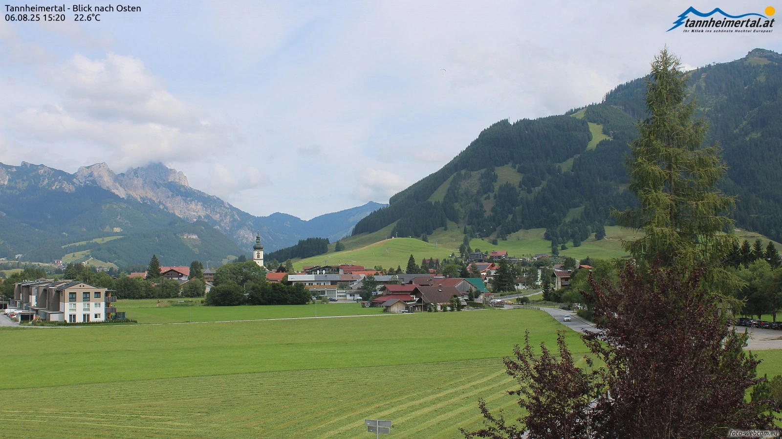 Kienzen