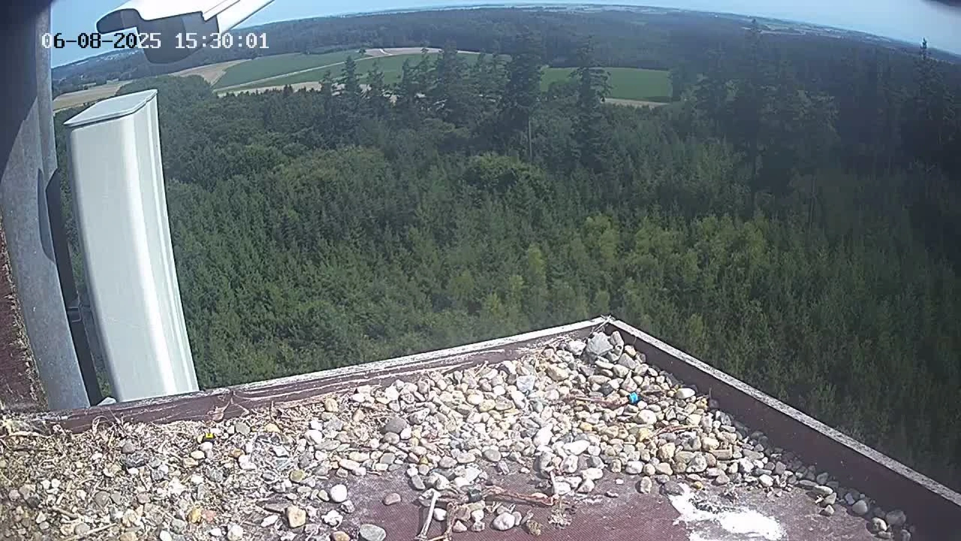 Гоенкаммер