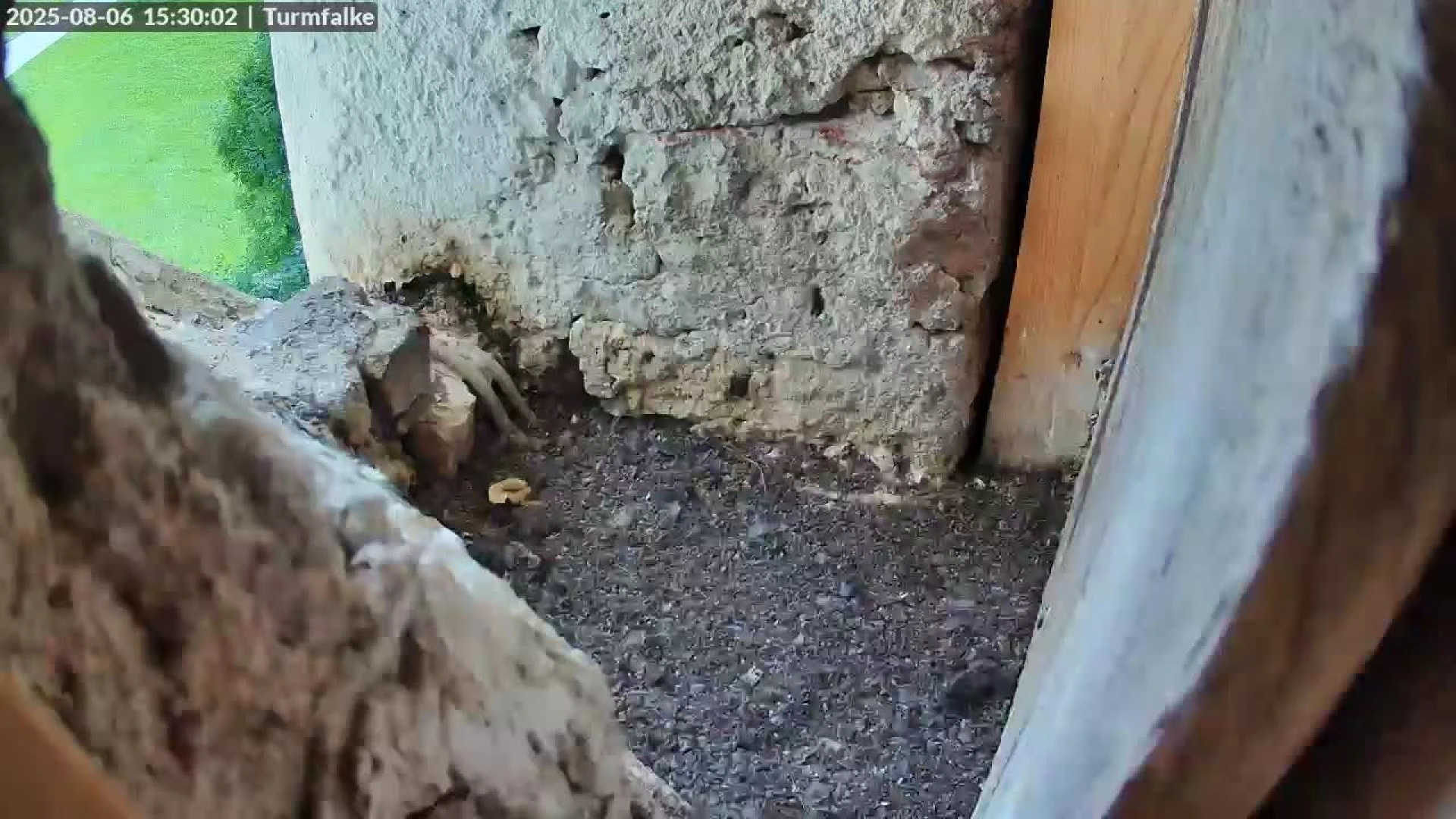 Рупольдінг
