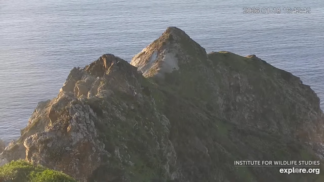 Santa Catalina Island, California