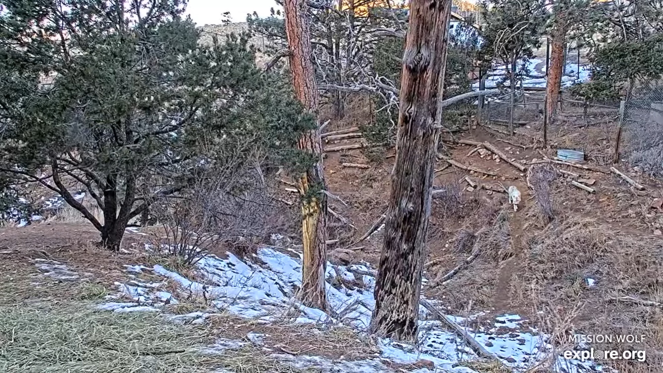 Westcliffe, Colorado