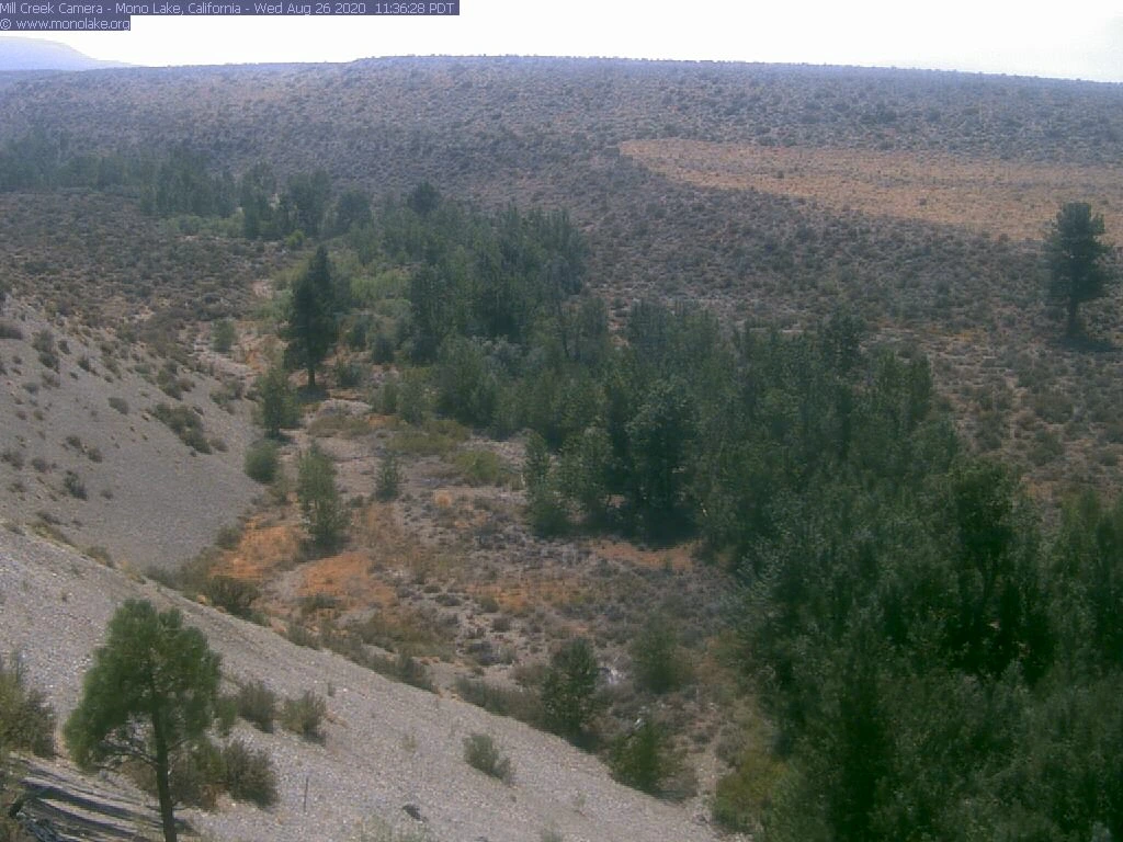Sierra, California
