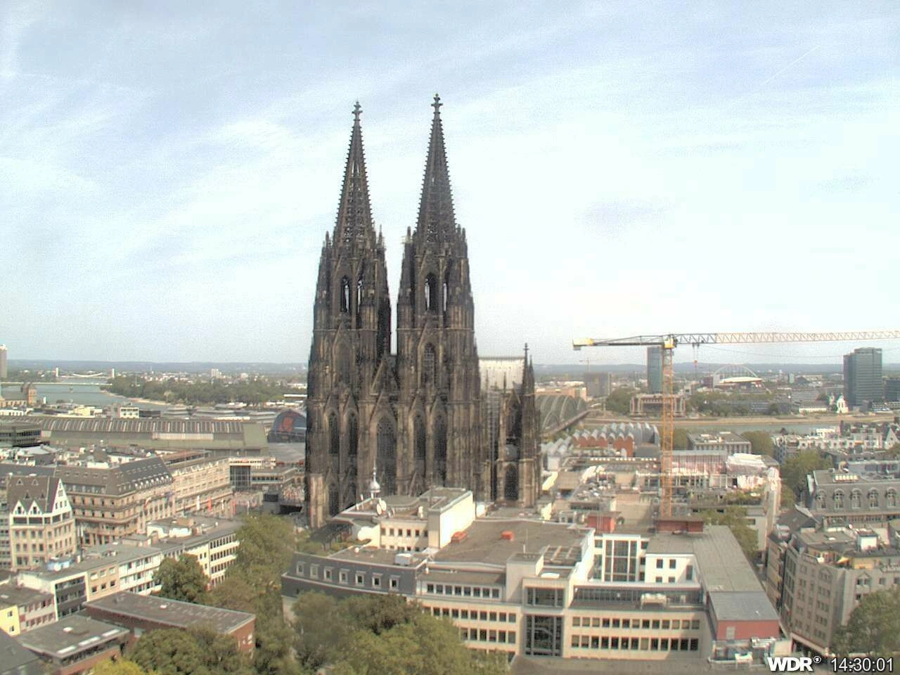 Cologne