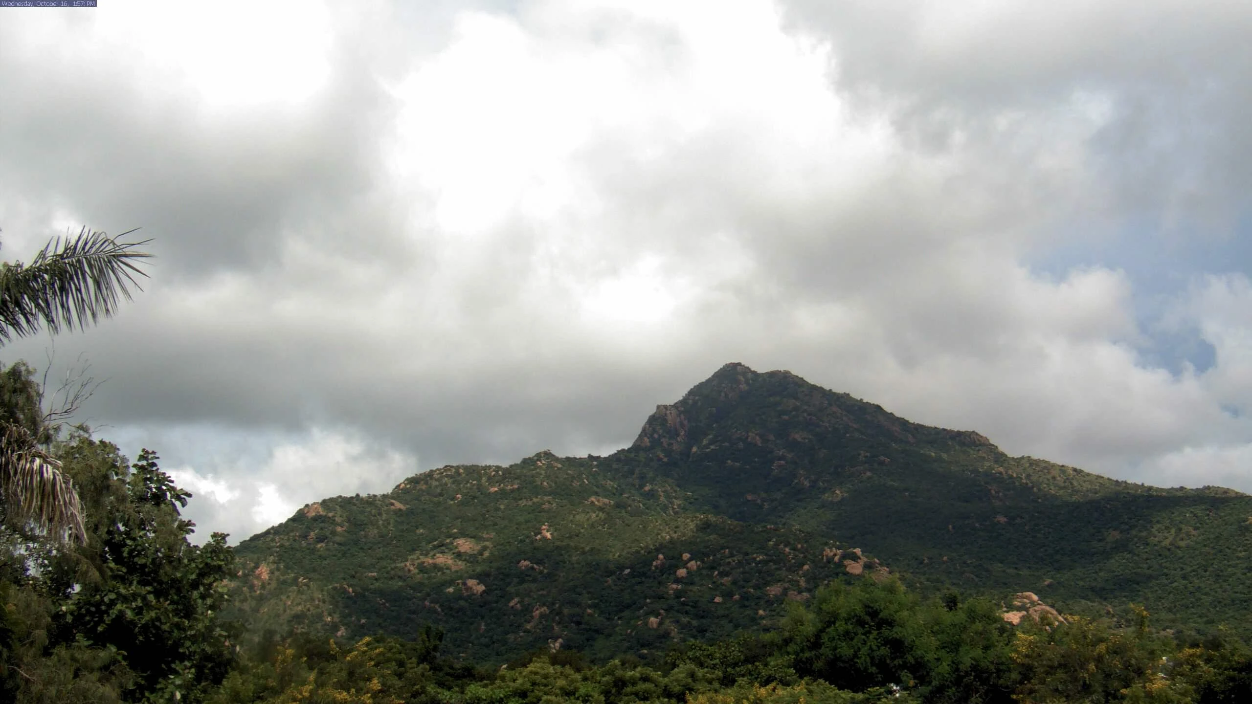 Arunachala