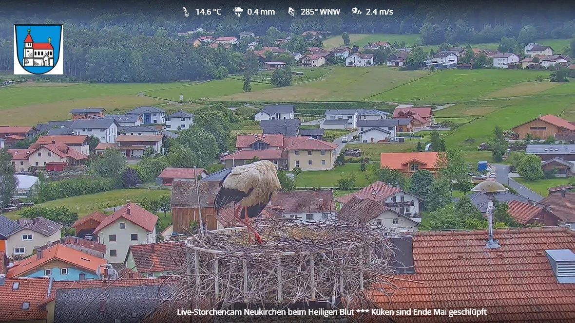 Neukirchen