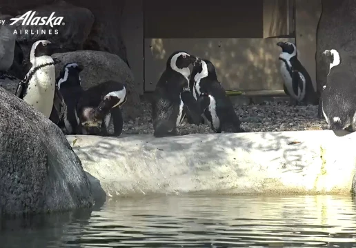 San Diego, California