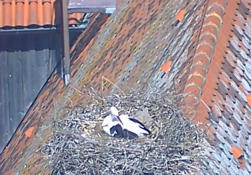 Нёрдлінген