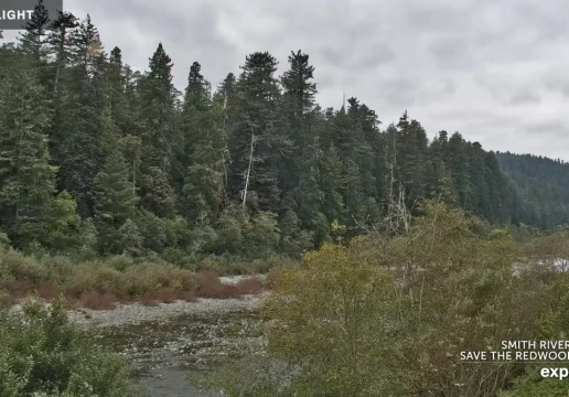 Кресент-Сіті, Каліфорнія