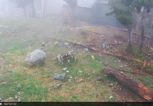 Граус Маунтін, Британська Колумбія