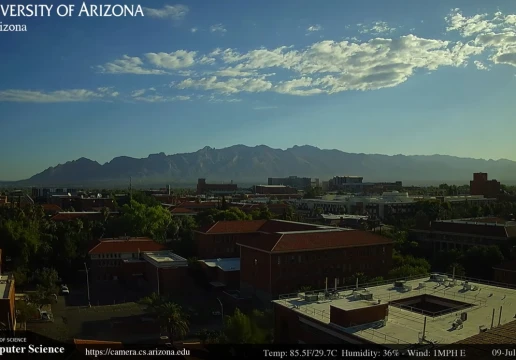 University of Arizona, Taxon, Arizona