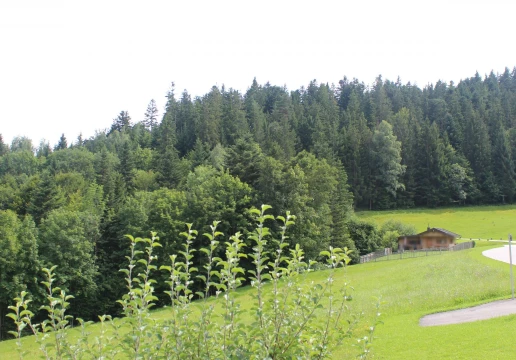 Aschau im Chiemgau