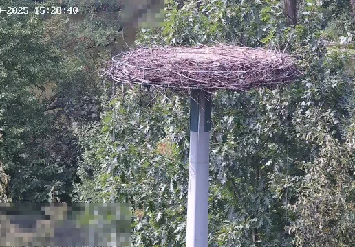 Кляйностгайм