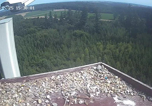 Гоенкаммер
