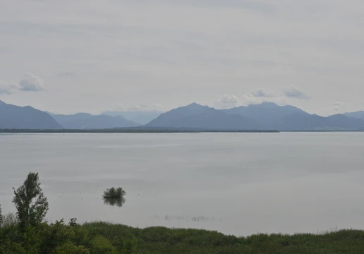 Кімінг