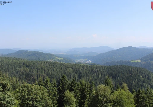 Гнезау