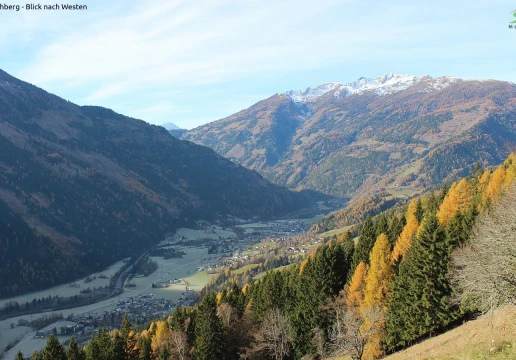 Оберволлигген