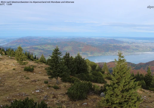 Альтмюнстер