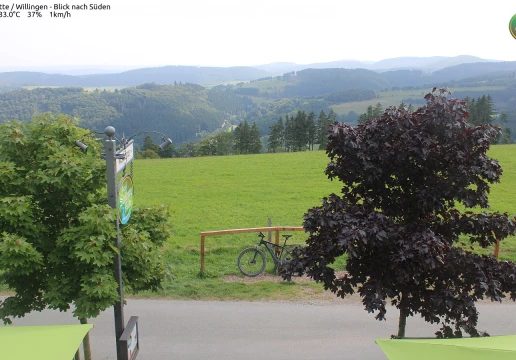 Willingen