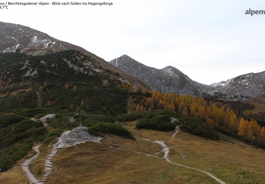 Голлінг-ан-дер-Зальцах