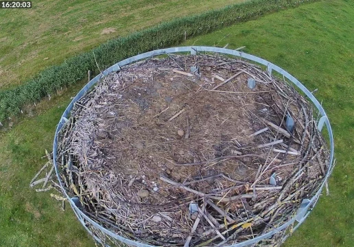 Мормерланд