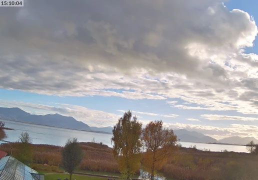 Зеон-Зебрук