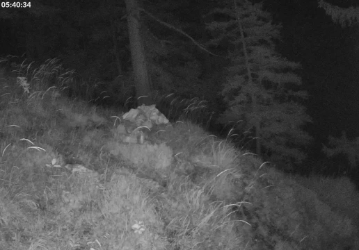 Ramsau bei Berchtesgaden