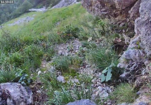 Ramsau bei Berchtesgaden