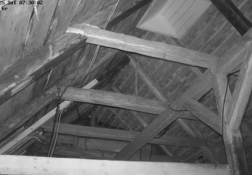 Вайшенфельд