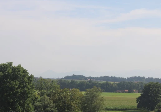 Пфаффінг