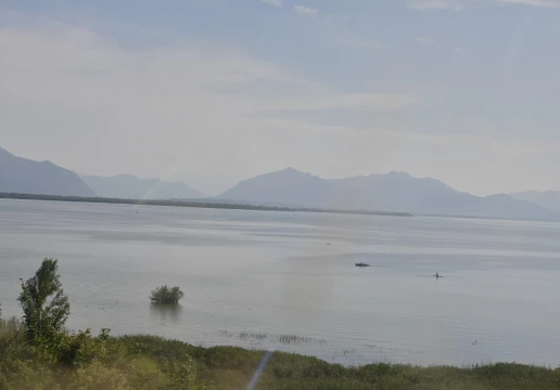 Кімінг