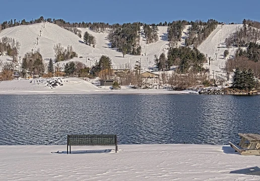 Хоутон, Мічиган